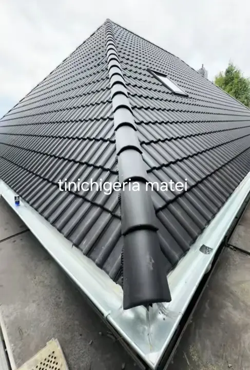 Coamă și dolie pe țiglă metalică neagră